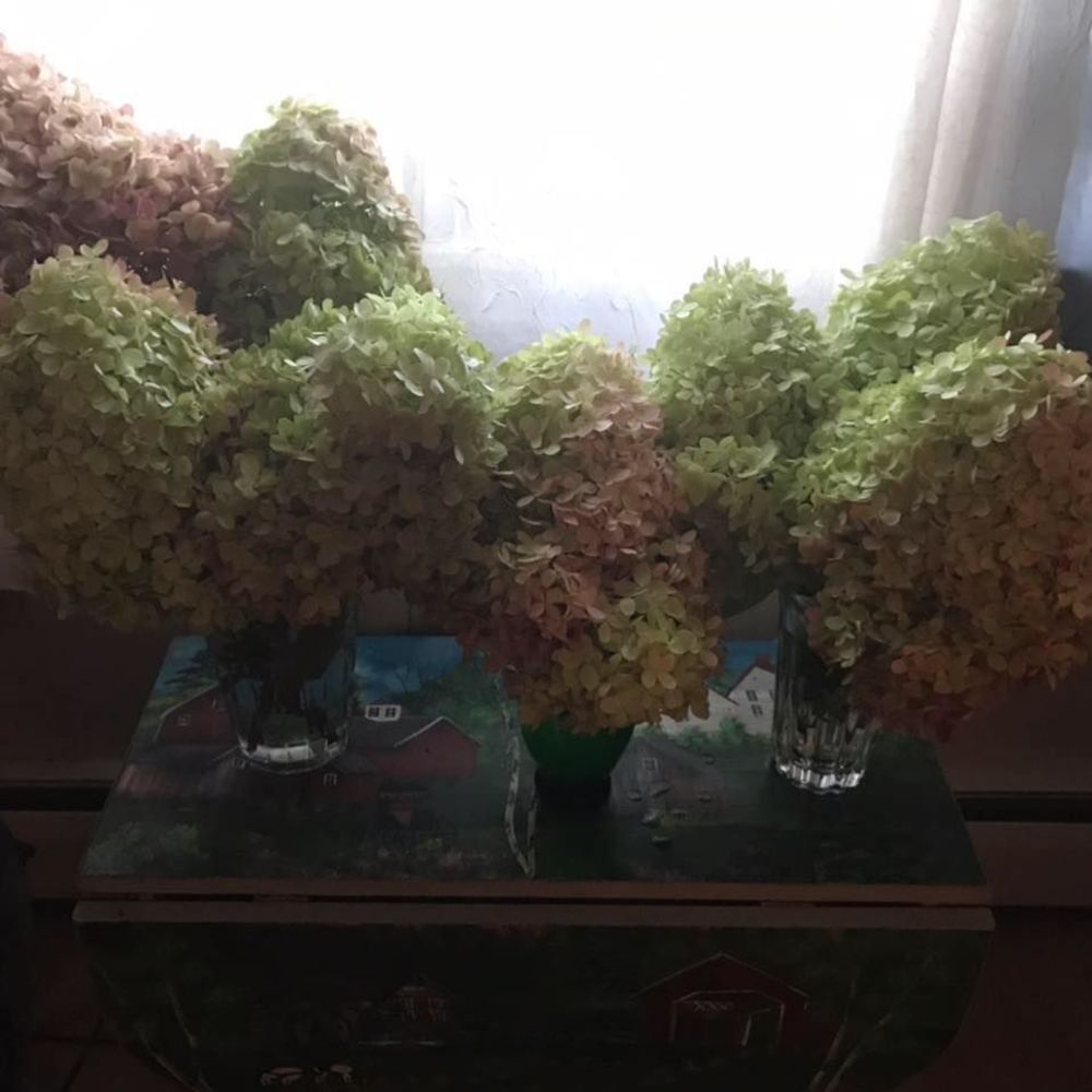 Meet your Posher, Robyn